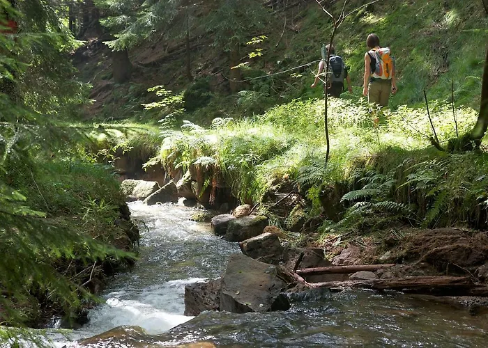 Appartement Ferienoase *